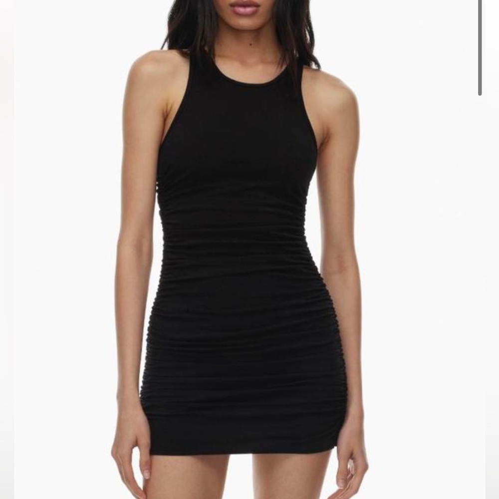 Aritzia Tna Quartz Bodycon Dress